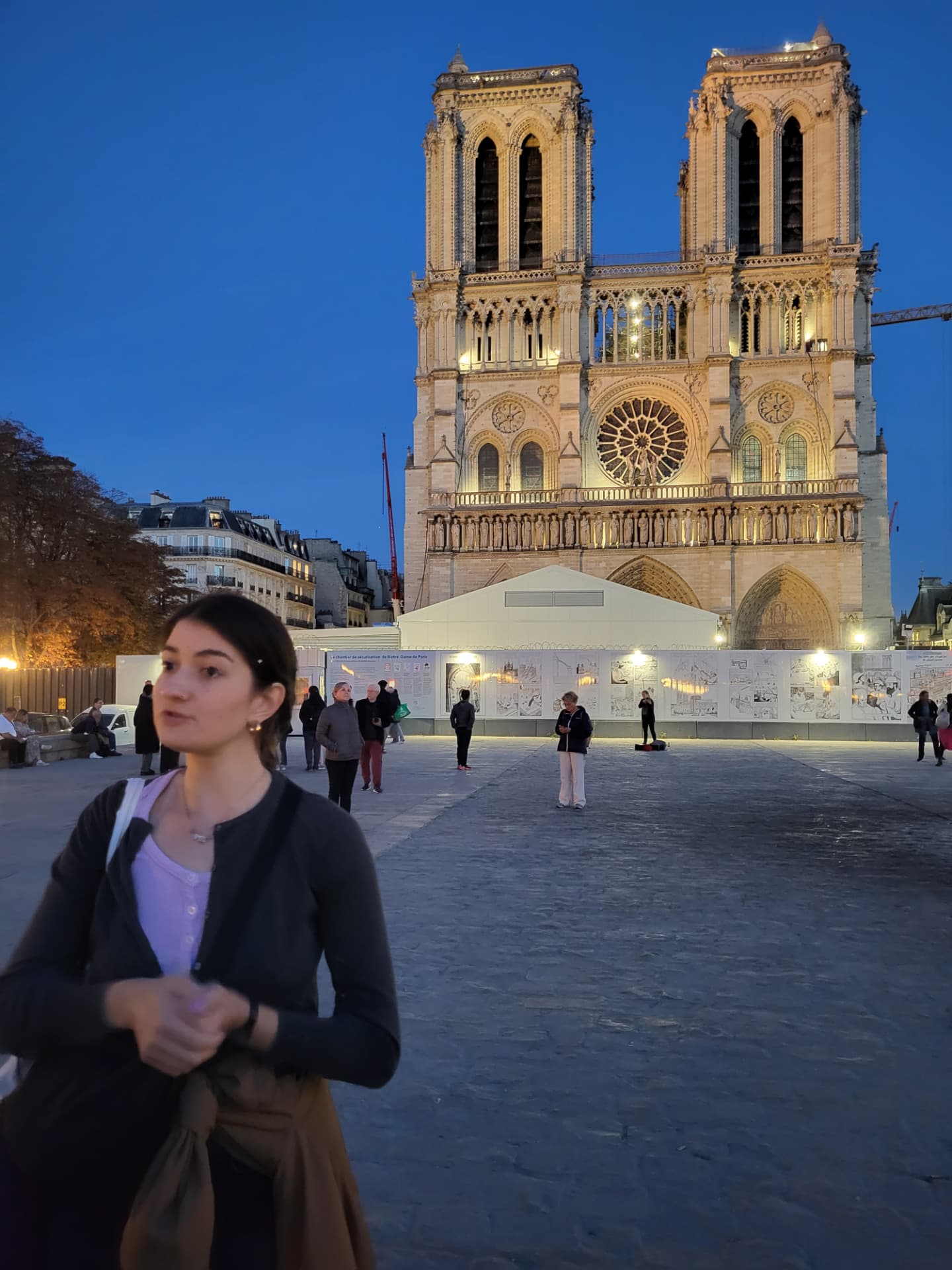 Notre-Dame de Paris glowing against a deep blue evening sky